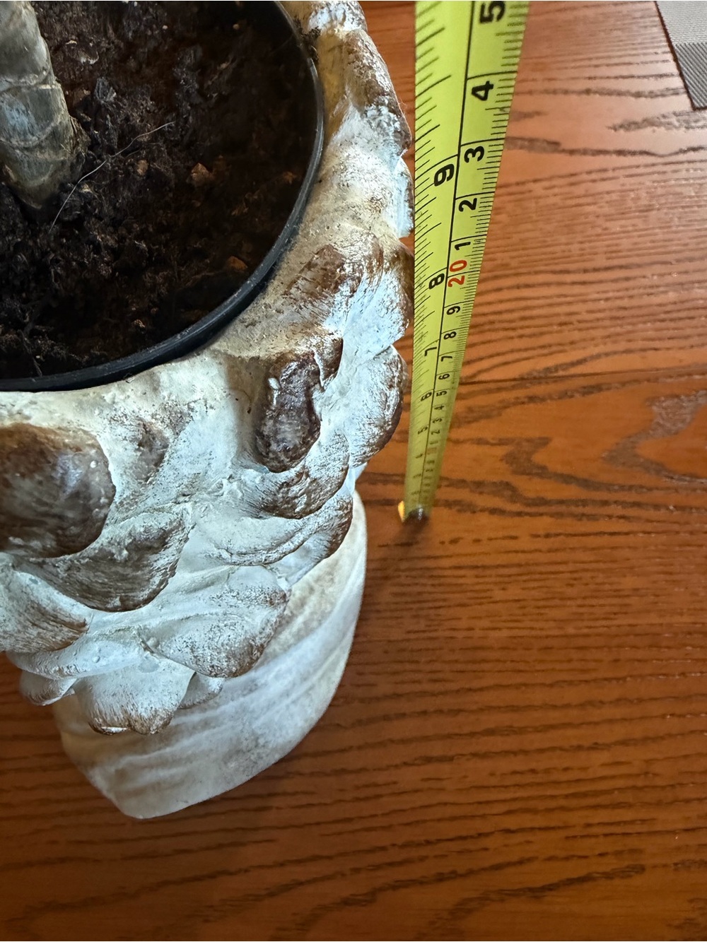 Decorative Bust Planter in Rustic, Weathered Stone - Picture 7 of 7
